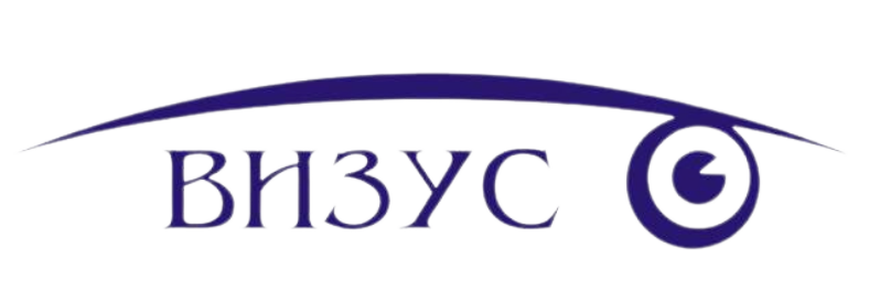 Vizus Logo